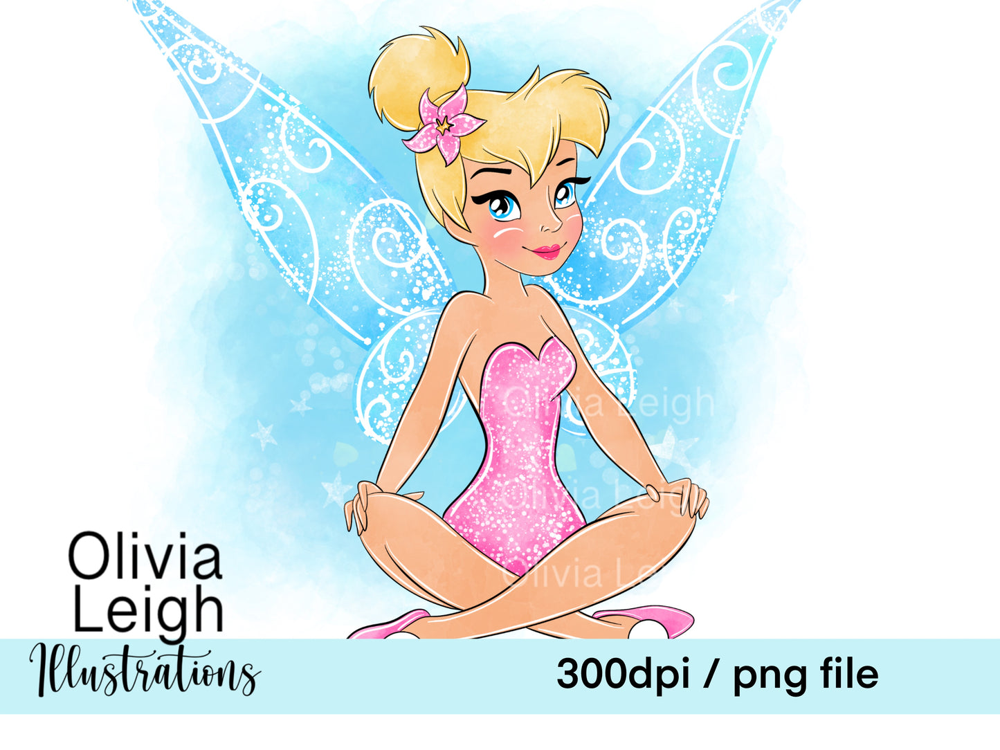 Fairy Princess Tinks Set 3