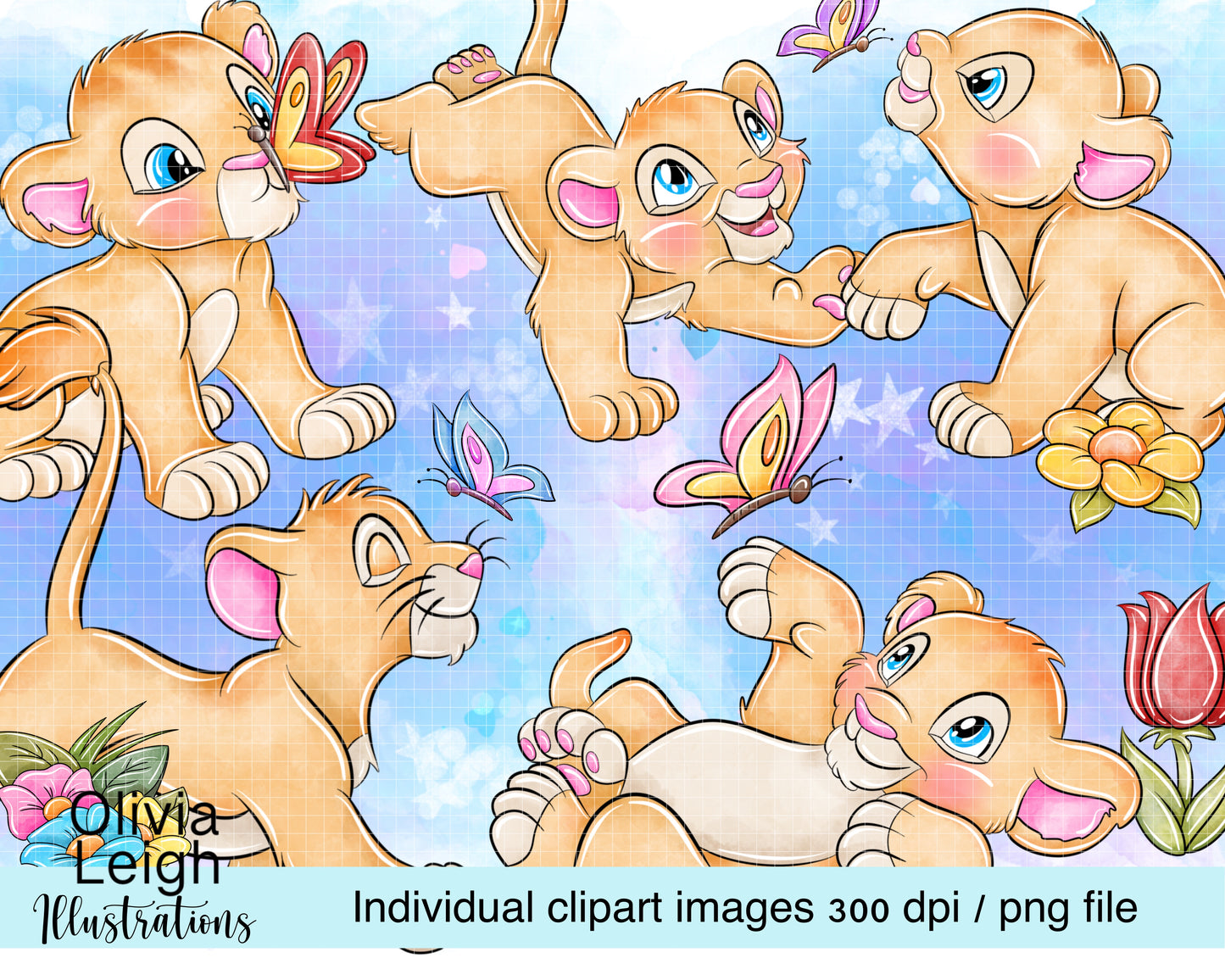 Baby Lion K Set