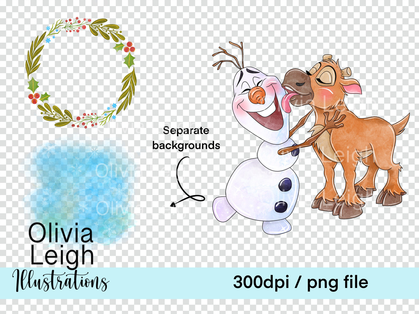Frozen Princess Set