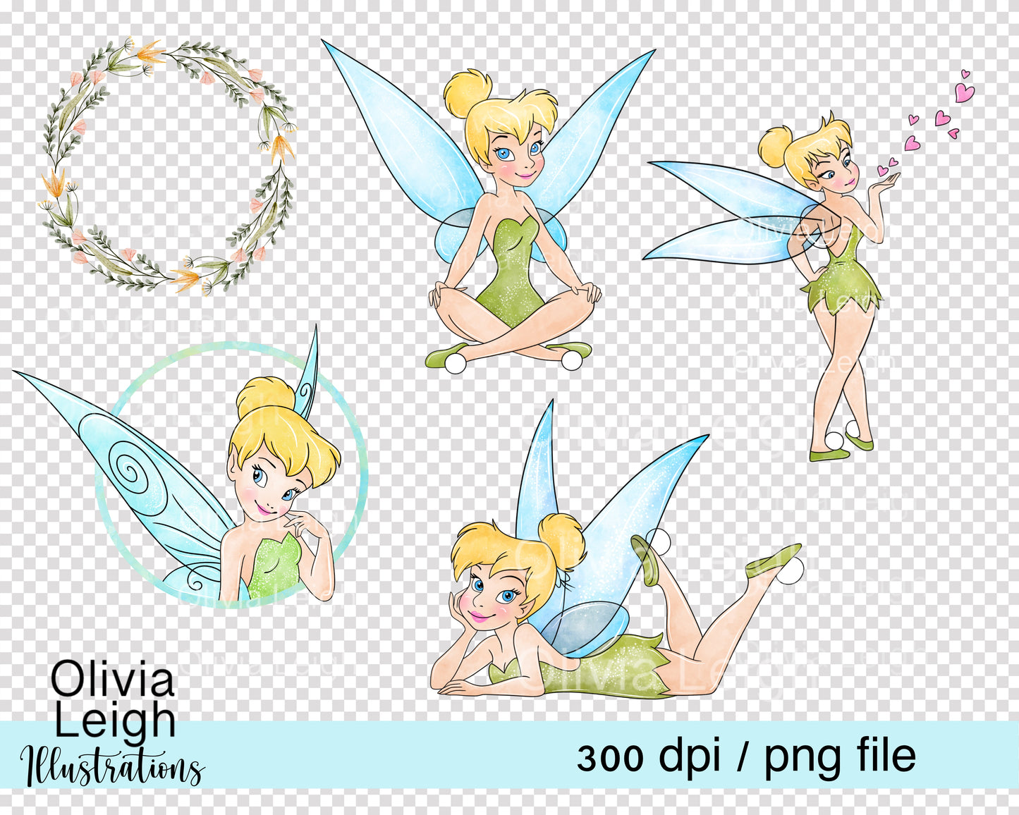 Fairy Princess Tinks Set
