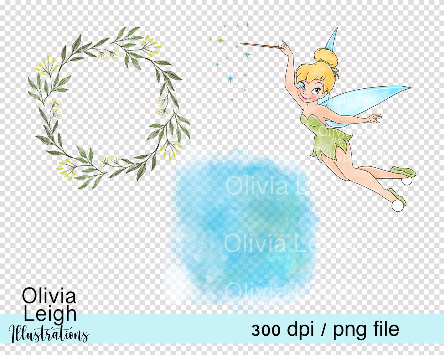 Fairy Princess Tinks Set