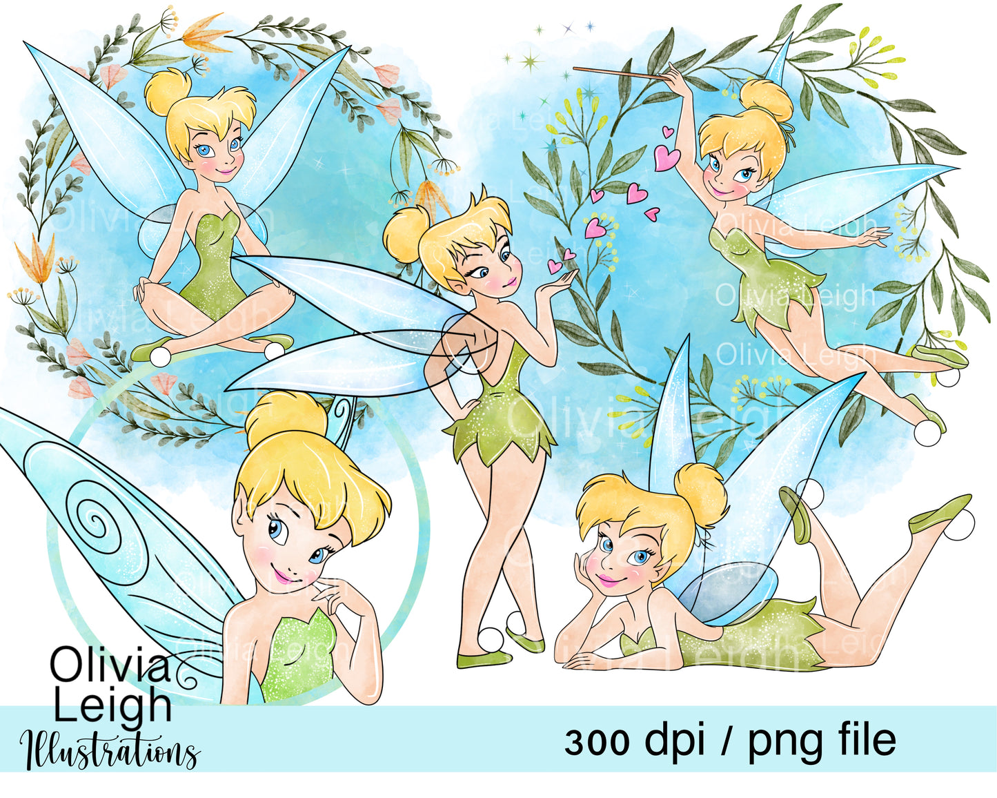 Fairy Princess Tinks Set