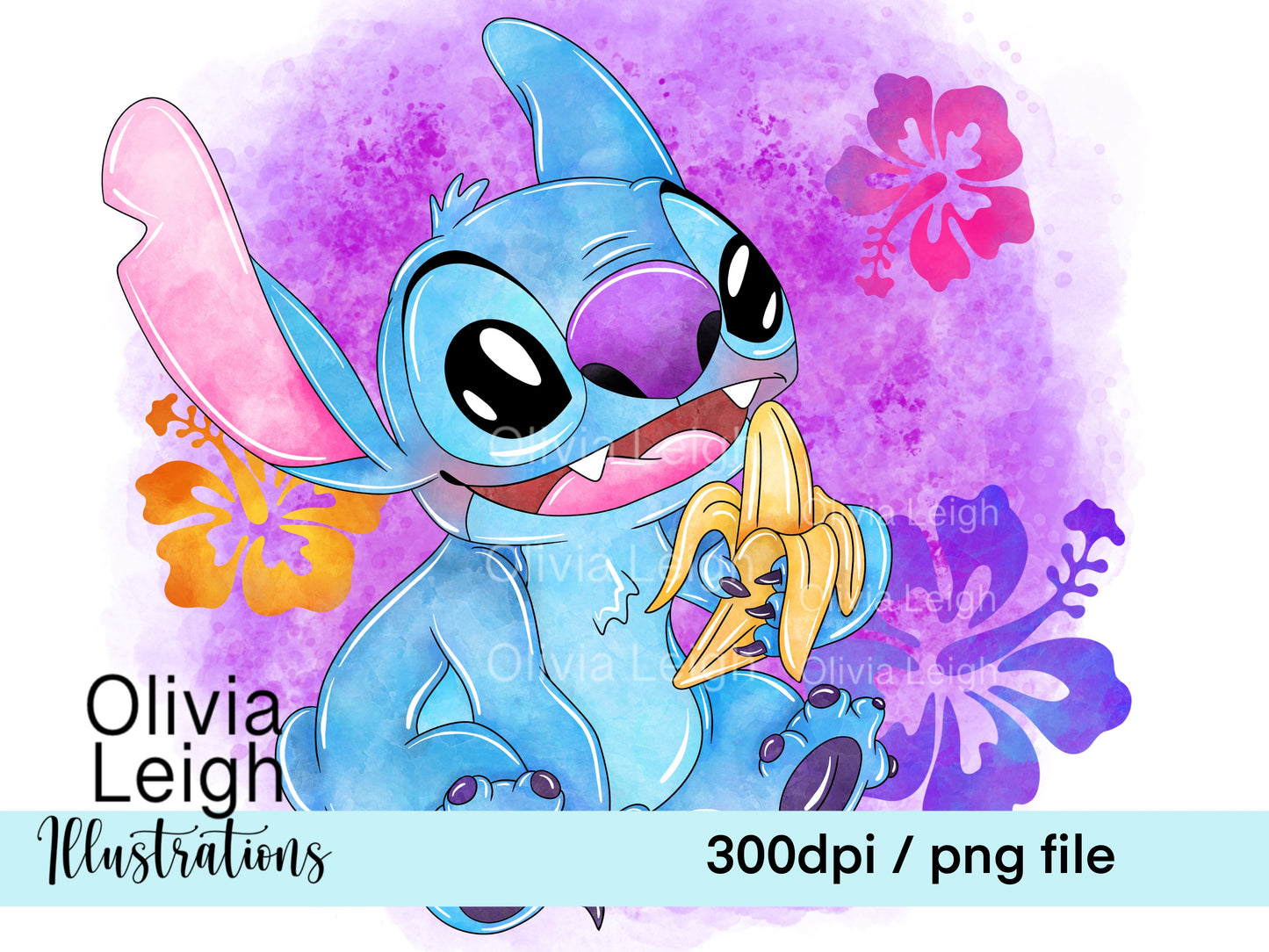 Stitch Summer Set