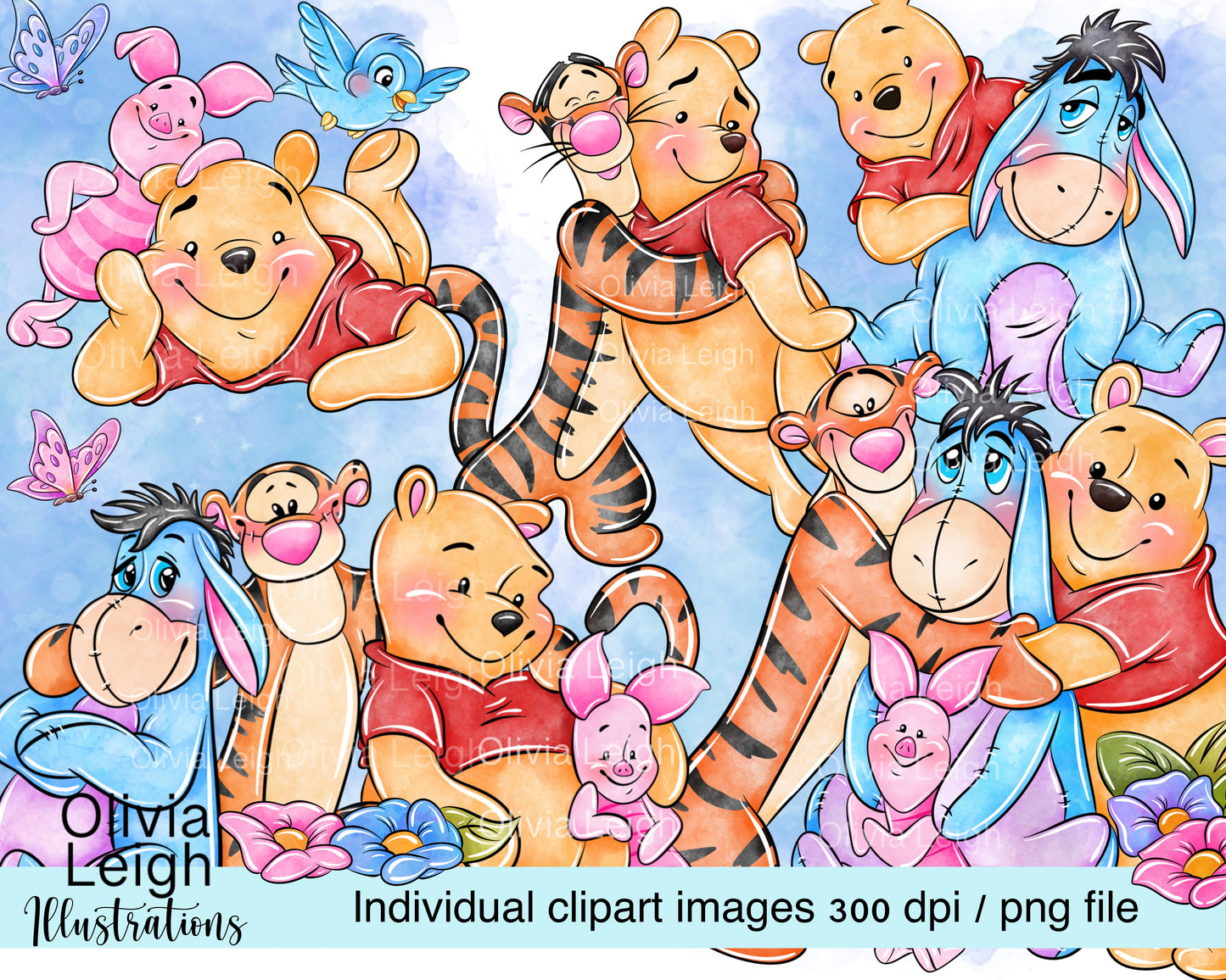 Winnie And Friends Set