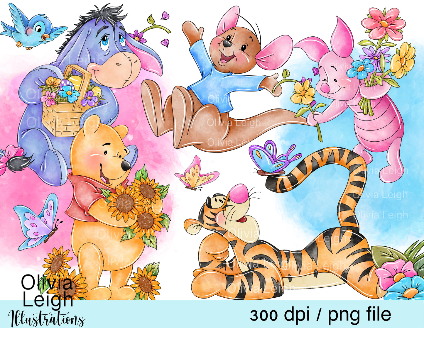 Winnie Spring Set