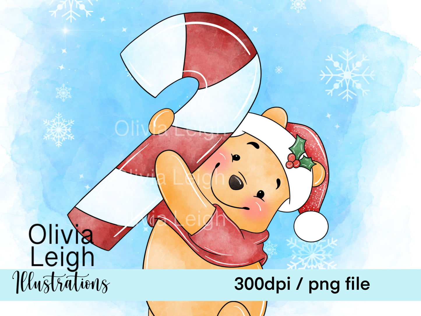 Winnie Christmas Set