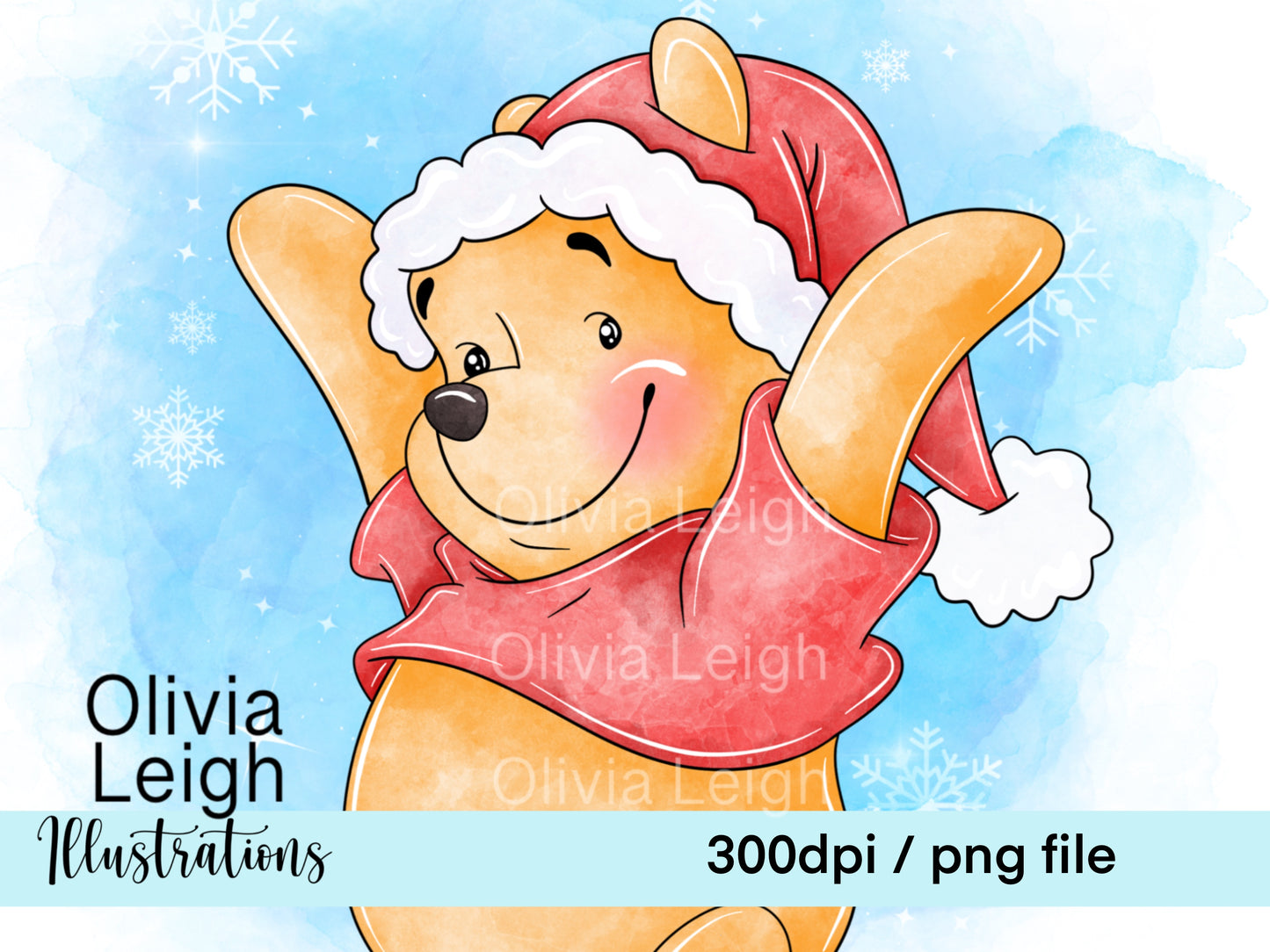 Winnie Christmas Set