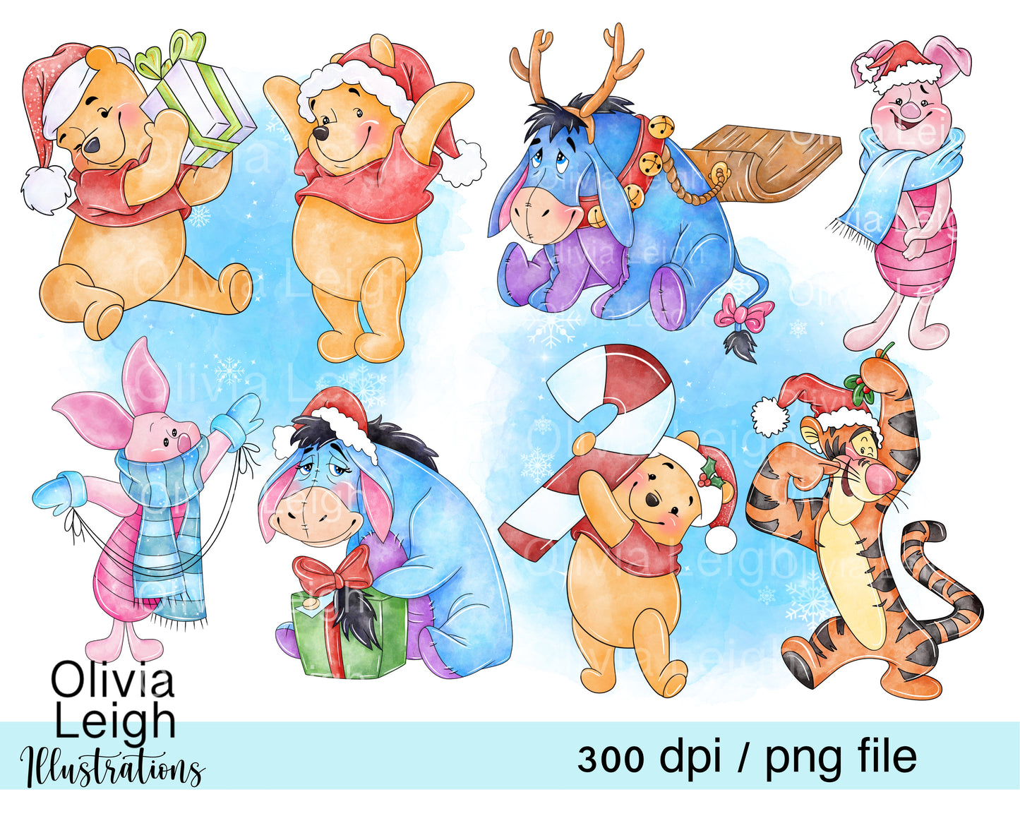 Winnie Christmas Set