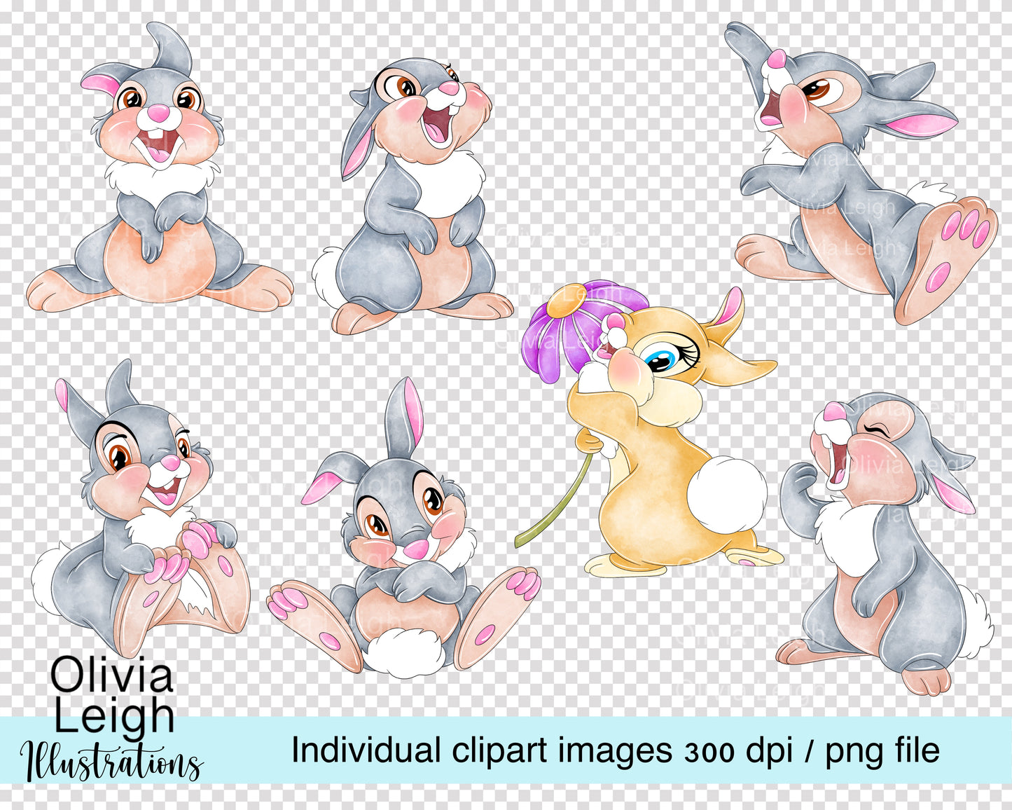 Forest Friends Rabbit Set